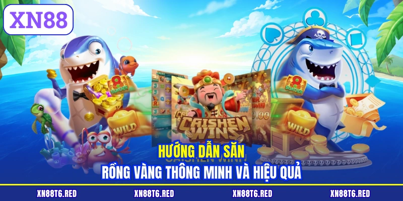 Hướng dẫn săn Rồng Vàng thông minh và hiệu quả