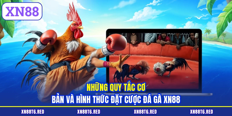 Những quy tắc cơ bản và hình thức đặt cược đá gà XN88